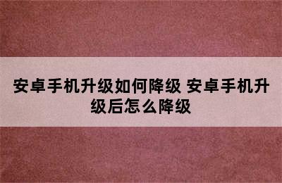 安卓手机升级如何降级 安卓手机升级后怎么降级